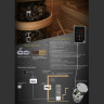 Электрическая печь SAWO ARIES (6,0 кВт, без пульта, нержавейка, встроенный блок мощности, пристенная) ARI3-60Ni2-WL-P